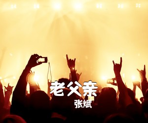 张斌《老父亲简谱》