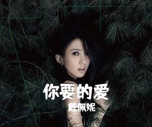 戴佩妮《你要的爱吉他谱》