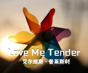 艾尔维斯·普莱斯利《Love Me Tender吉他谱》