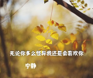 宁静《无论你多么怪异我还是会喜欢你吉他谱》