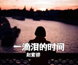 赵紫骅《一滴泪的时间吉他谱》(C调)