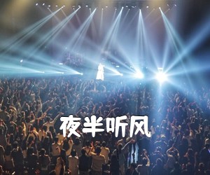 《夜半听风吉他谱》(C调)