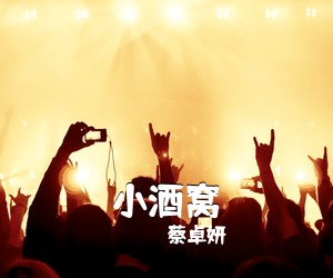 蔡卓妍《小酒窝吉他谱》(C调)