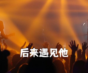 《后来遇见他吉他谱》(G调)