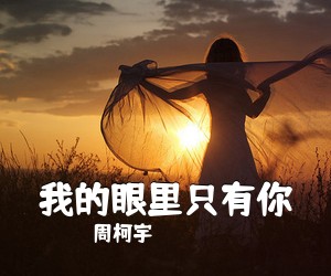 周柯宇《我的眼里只有你吉他谱》(G调)