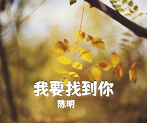 陈明《我要找到你吉他谱》(C调)