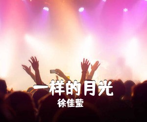 徐佳莹《一样的月光吉他谱》(C调)