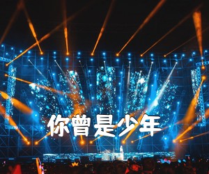 《你曾是少年吉他谱》(G调)