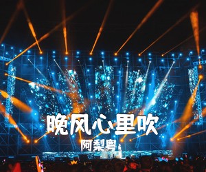 阿梨粤《晚风心里吹吉他谱》(G调)