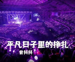 曾抖抖《平凡日子里的挣扎吉他谱》(C调)