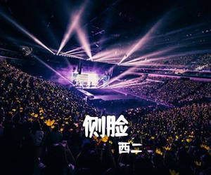 西二《侧脸吉他谱》(C调)