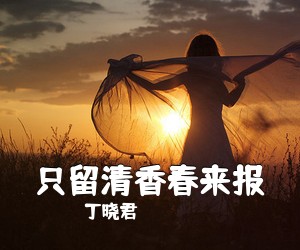 丁晓君《只留清香春来报简谱》