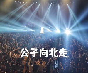 《公子向北走吉他谱》(G调)