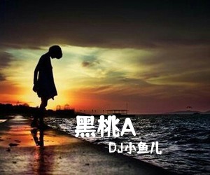 DJ小鱼儿《黑桃A吉他谱》(G调)