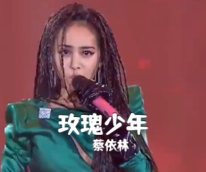 蔡依林《玫瑰少年吉他谱》(G调)