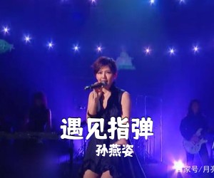 孙燕姿《遇见指弹吉他谱》