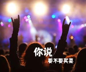 要不要买菜《你说吉他谱》