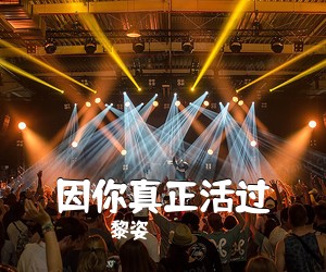 黎姿《因你真正活过吉他谱》(G调)