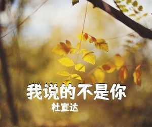 杜宣达《我说的不是你吉他谱》(C调)