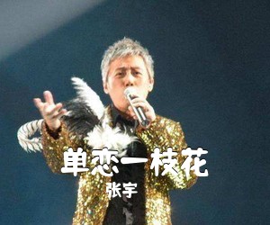 张宇《单恋一枝花吉他谱》(G调)