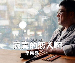 李宗盛《寂寞的恋人啊吉他谱》(G调)
