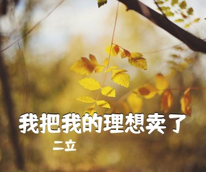 二立《我把我的理想卖了吉他谱》(G调)