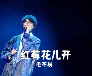 毛不易《红莓花儿开吉他谱》