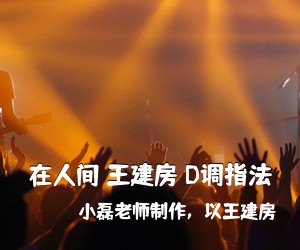 小磊老师制作，以王建房《在人间 王建房 D调指法吉他谱》(D调)