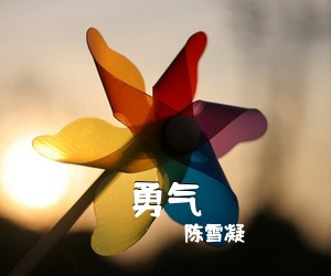 陈雪凝《勇气吉他谱》(C调)