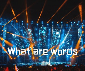 《What are words吉他谱》