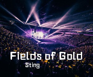 Sting《Fields of Gold简谱》