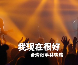 台湾歌手林晓培《我现在很好吉他谱》(G调)