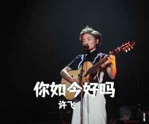 许飞《你如今好吗吉他谱》