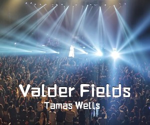 Tamas Wells《Valder Fields吉他谱》(C调)