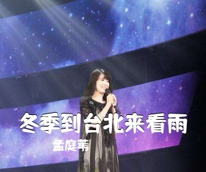 孟庭苇《冬季到台北来看雨吉他谱》(G调)