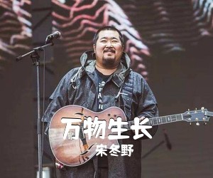 宋冬野《万物生长吉他谱》