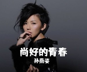 孙燕姿《尚好的青春吉他谱》(G调)