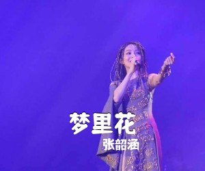 张韶涵《梦里花吉他谱》(C调)