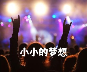 《小小的梦想吉他谱》(C调)