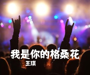 王琪《我是你的格桑花吉他谱》(G调)