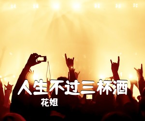 花姐《人生不过三杯酒吉他谱》(G调)
