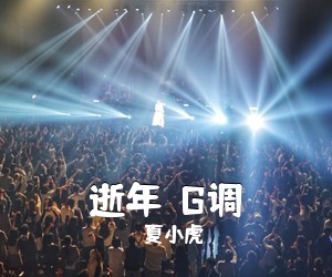 夏小虎《逝年  G调吉他谱》(G调)