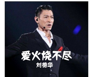 刘德华《爱火烧不尽吉他谱》(G调)