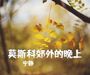 宁静《***郊外的晚上吉他谱》