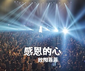 欧阳菲菲《感恩的心吉他谱》(C调)