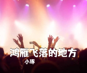 小琢《鸿雁飞落的地方简谱》