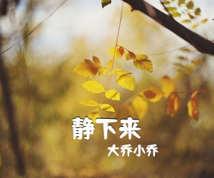 大乔小乔《静下来吉他谱》(D调)