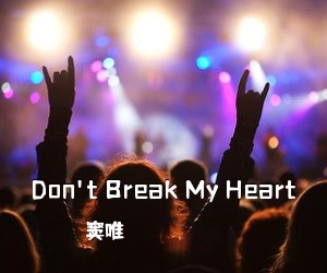 窦唯《Don't Break My Heart吉他谱》