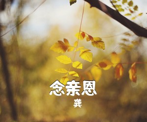 龚玥《念亲恩简谱》