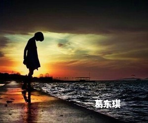 葛东琪《囍吉他谱》(C调)